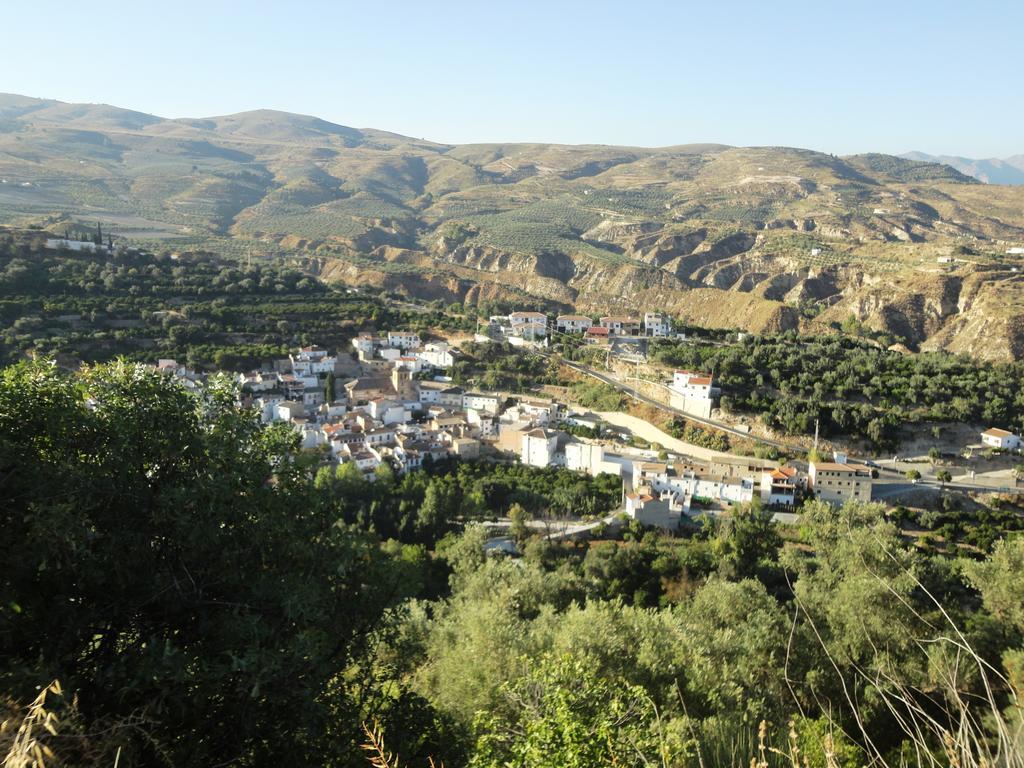 Melegis Hostal Y Apartamento Rural Los Naranjos חדר תמונה